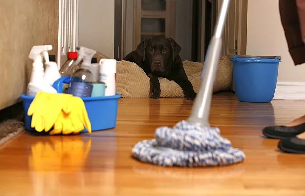 House Cleaning Services by Mila's Maids